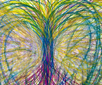 ambassadors-profile-img